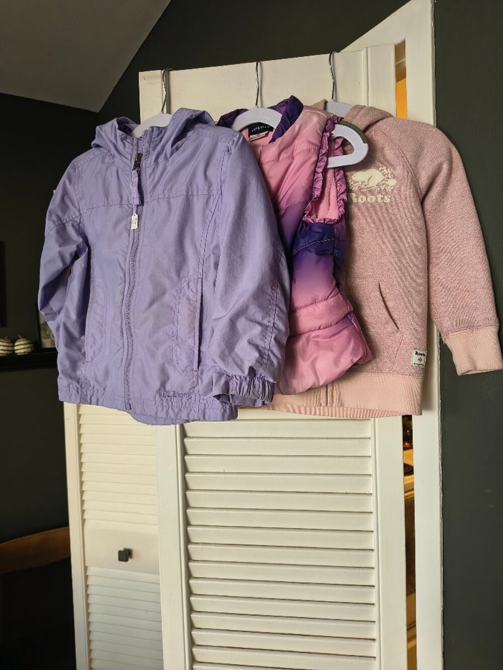 Toddler Girl Fall Outerwear Bundle (Size 3T/4T) - L.L.Bean, Roots, Andy & Evan